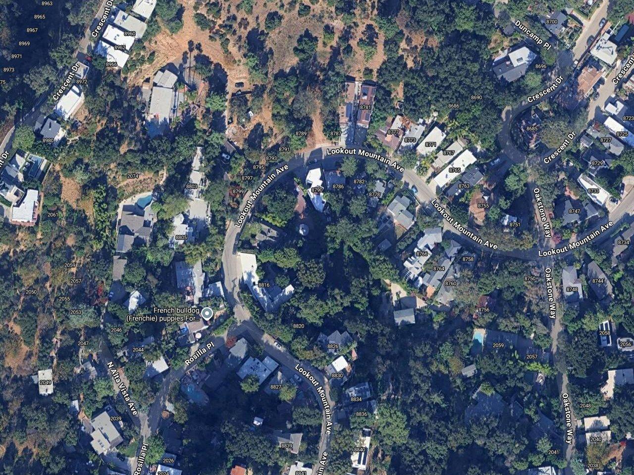 Daphne Zuniga's House