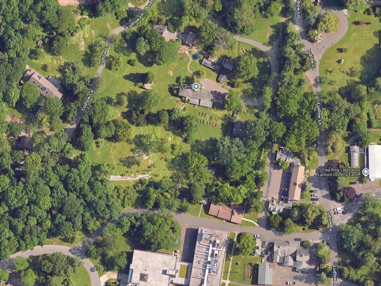 Didi Conn's House