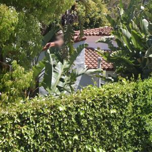 Michael Angarano's and Maya Erskine's House